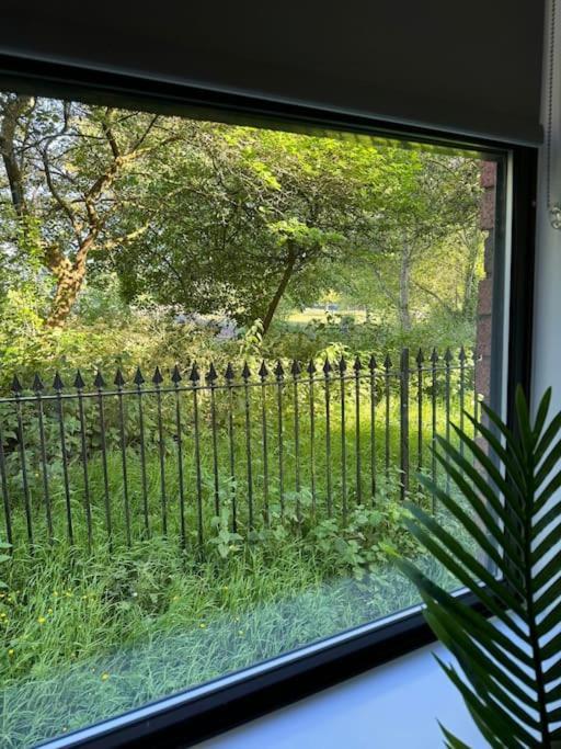 Polly'S Place Apartment Taunton & Free Off Road Parking & Wifi Exteriör bild