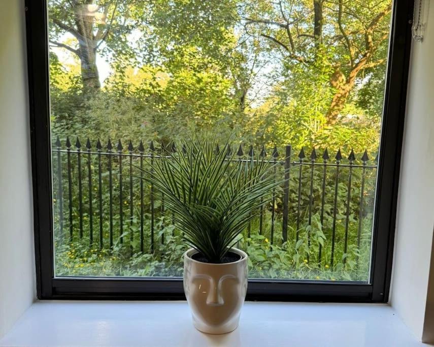 Polly'S Place Apartment Taunton & Free Off Road Parking & Wifi Exteriör bild